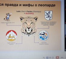 Интерактивные презентации для учеников 6-10 классов по Программе реинтродукции переднеазиатского леопарда на Кавказе