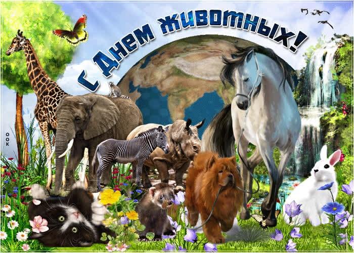 Республиканский экологический конкурс ко Дню защиты животных «Берегите животных – чудо природы»